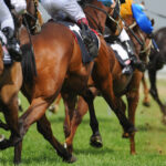 Dubai World Cup Night