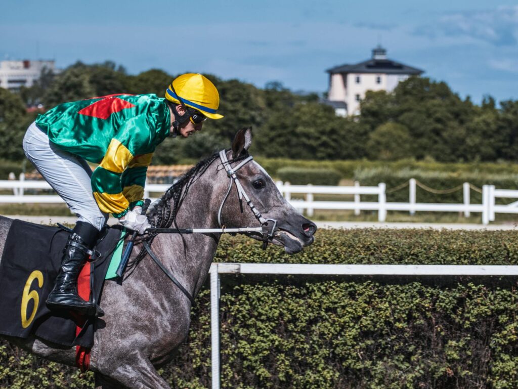 Cheltenham Gold Cup 2027