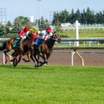 Epsom Derby Festival