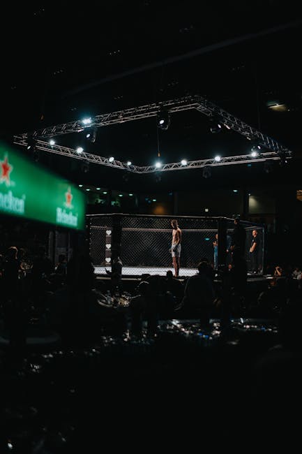 UFC 330