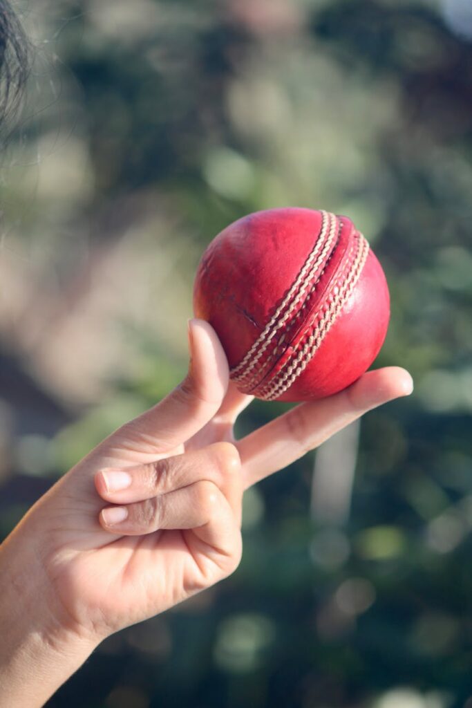 England vs New Zealand (3rd Test)